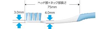 毎日の歯磨きがもっと効果的に!おすすめの「Check-Up 歯ブラシ」